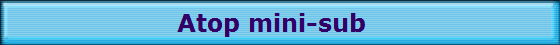 Atop mini-sub  