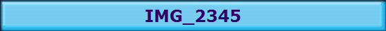 IMG_2345