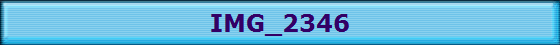 IMG_2346