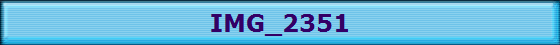 IMG_2351