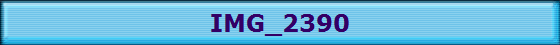 IMG_2390