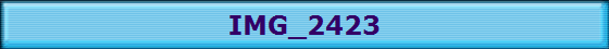 IMG_2423