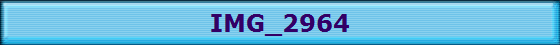 IMG_2964