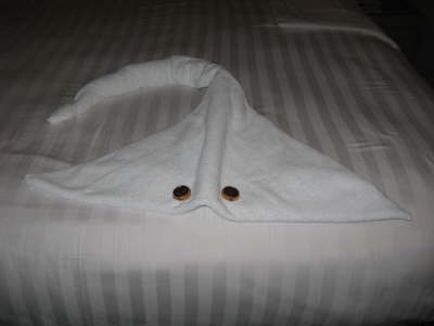 Stingray in our stateroom at night