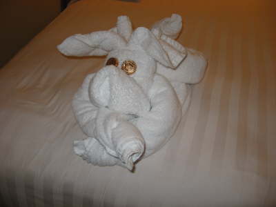 Dog? in our stateroom at night